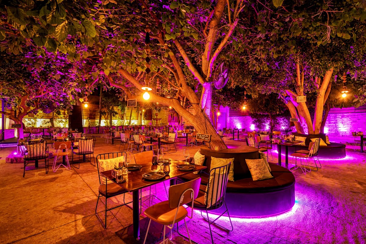 Dionysos Mansion — Mediterranean Fine Dining in Limassol, Cyprus