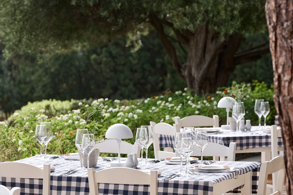 Pithari Tavern — Cypriot taverna Tavernas in Paphos, Cyprus