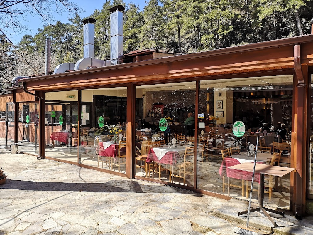 Psilo Dendro — Trout farm cooking Restaurants in Platres, Cyprus