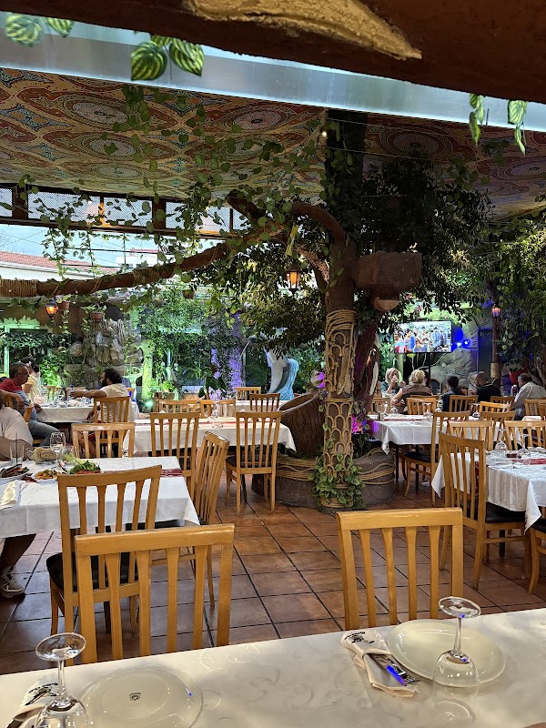 Syrian Arab Friendship Club — Levantine meze Restaurants in Nicosia, Cyprus
