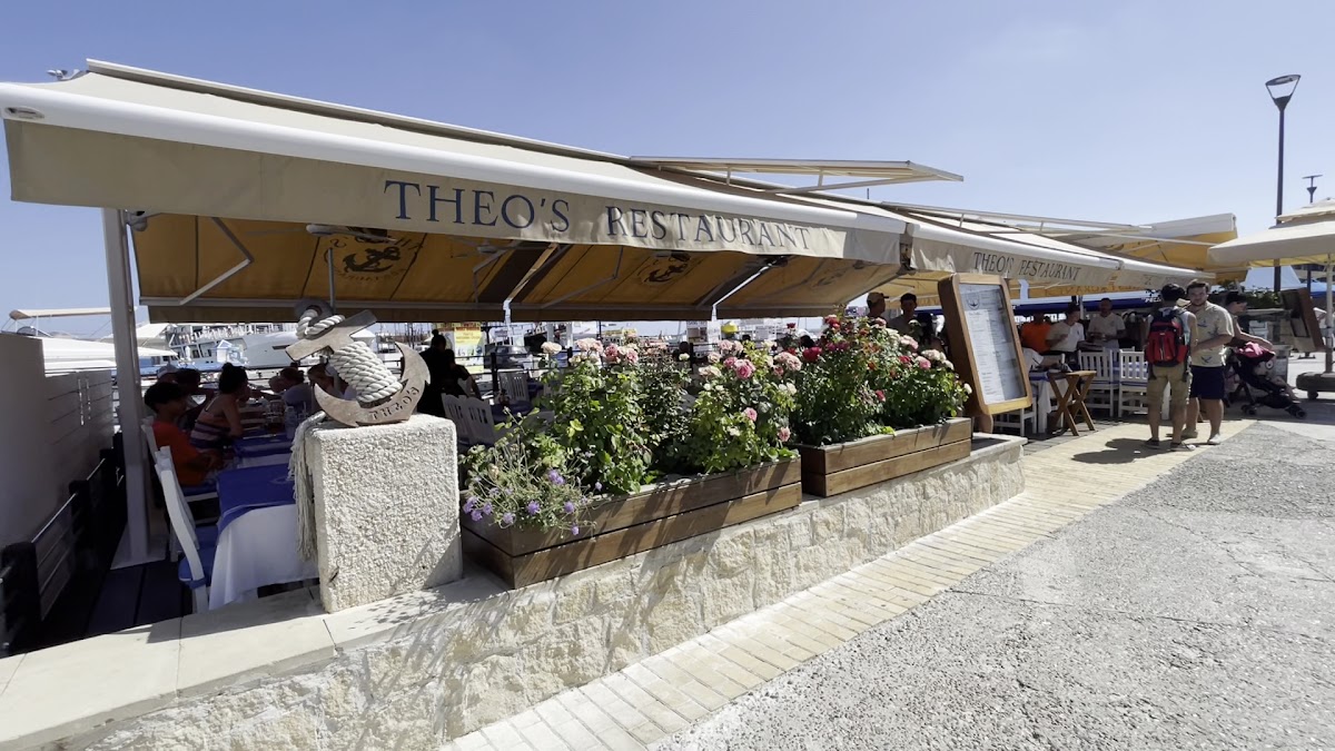 Theo’s Seafood — Seafood Restaurants in Paphos, Cyprus