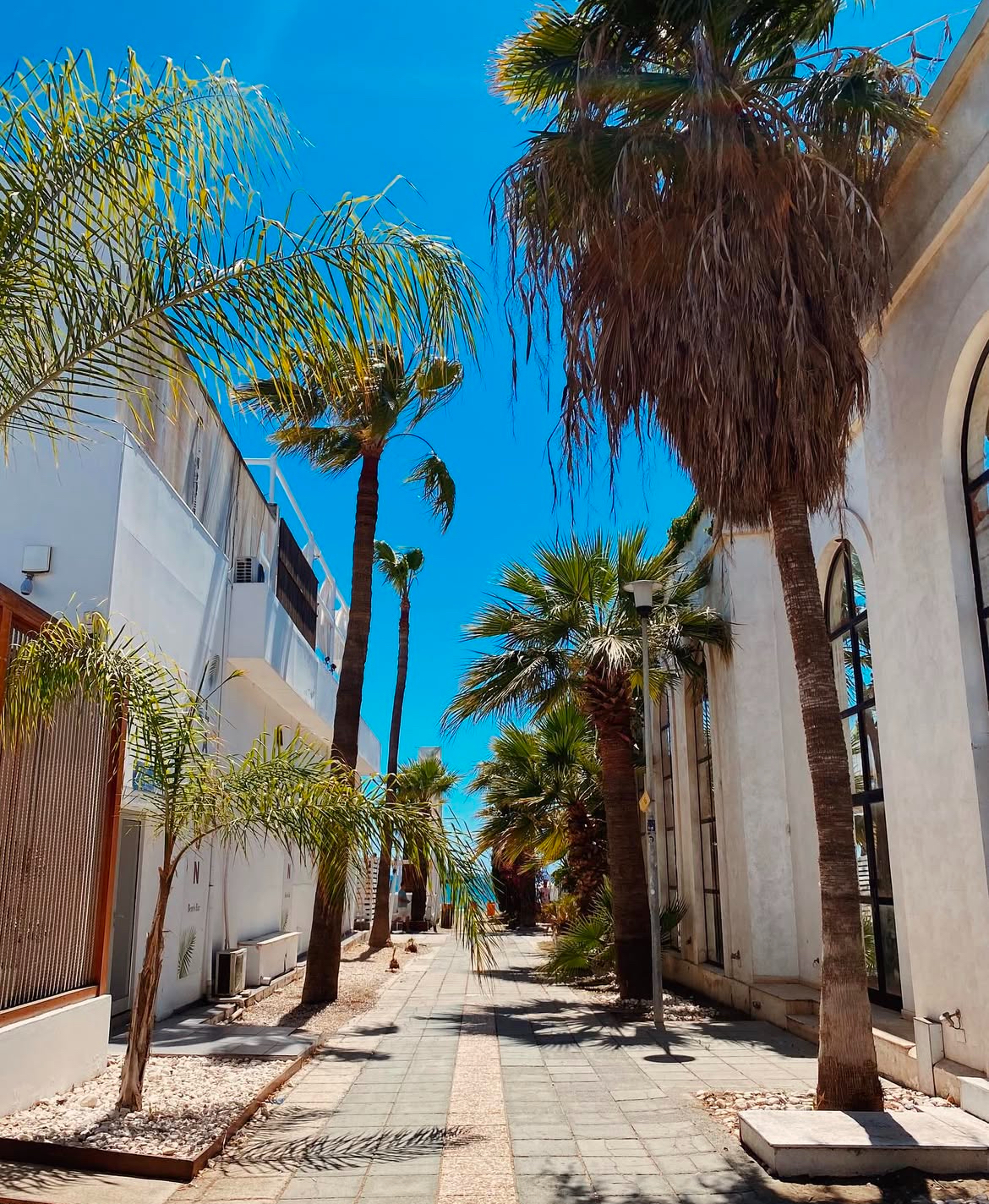 Larnaca & the Plains — Cyprus