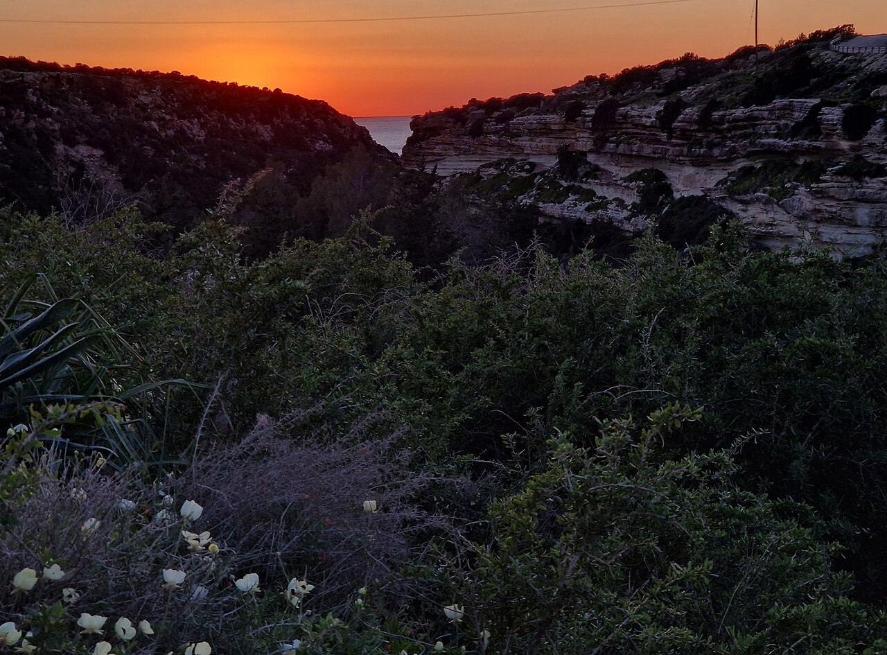 Avakas Gorge, Akamas Peninsula, Cyprus