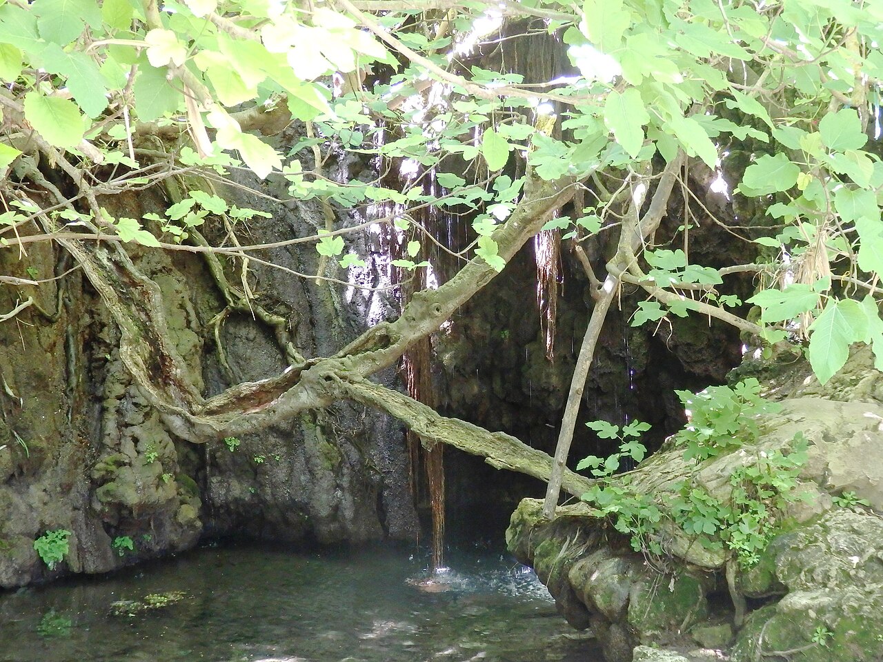 Baths of Aphrodite, Polis · Latchi, Cyprus