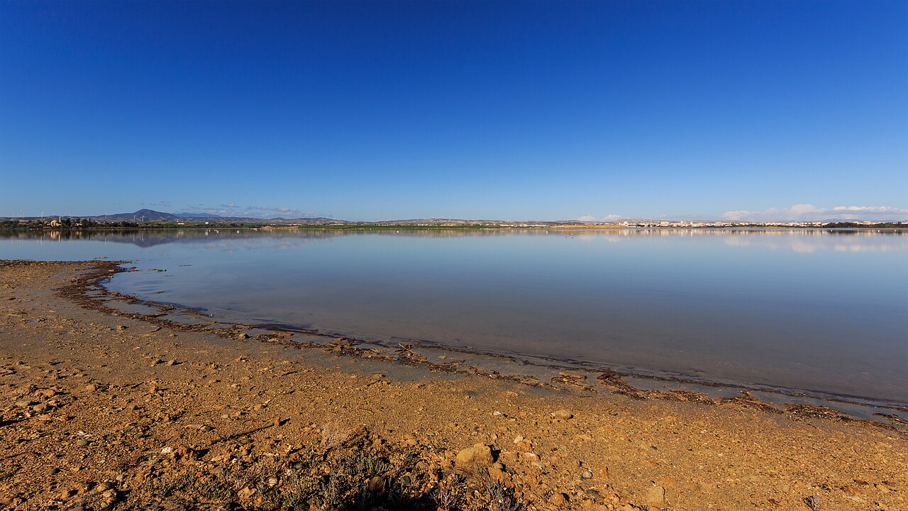 Larnaca Salt Lake & Hala Sultan Tekke, Larnaca, Cyprus
